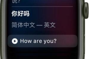Apple Watch 上使用 Siri 教程